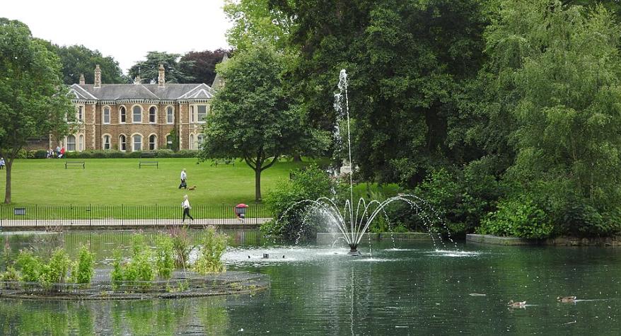 Sunny day at Arnold park, a popular outdoor spot in the area we serve.